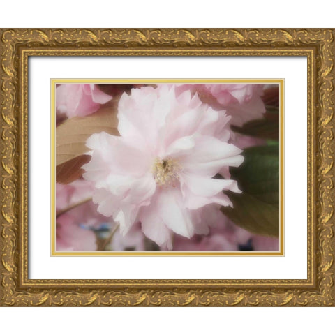 Soft Japanische Kirsche Gold Ornate Wood Framed Art Print with Double Matting by May
