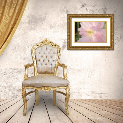Soft Japanische Kirsche 2 Gold Ornate Wood Framed Art Print with Double Matting by May