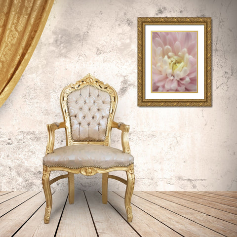 Blume Chrysantheme Gold Ornate Wood Framed Art Print with Double Matting by May