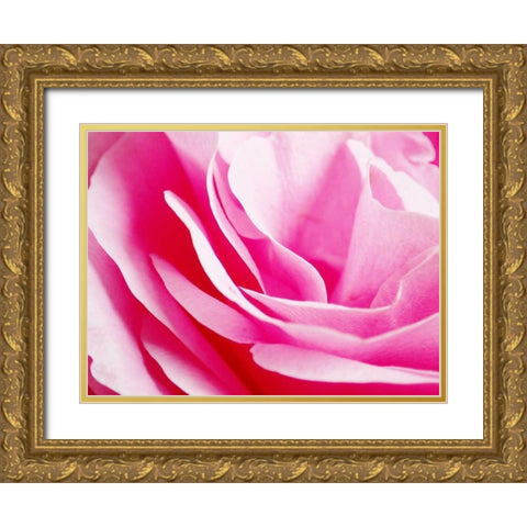 Rose Nahbereich 2 Gold Ornate Wood Framed Art Print with Double Matting by May