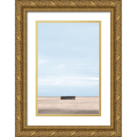 Vast Silence Gold Ornate Wood Framed Art Print with Double Matting by Collins, Matthew