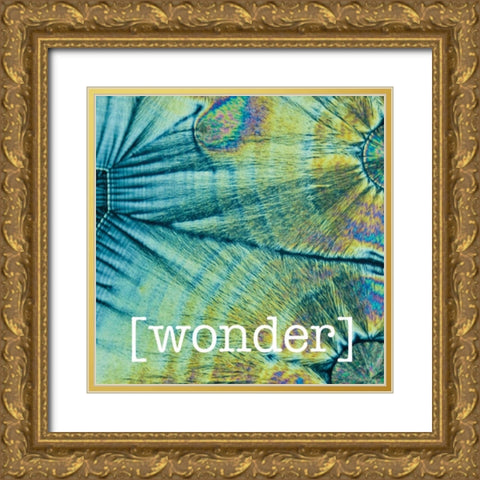 Wondering Coconuts Gold Ornate Wood Framed Art Print with Double Matting by Hogan, Melody