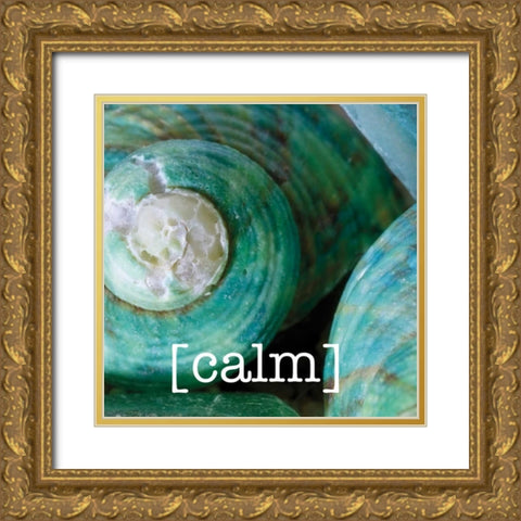Calming Shells Gold Ornate Wood Framed Art Print with Double Matting by Hogan, Melody