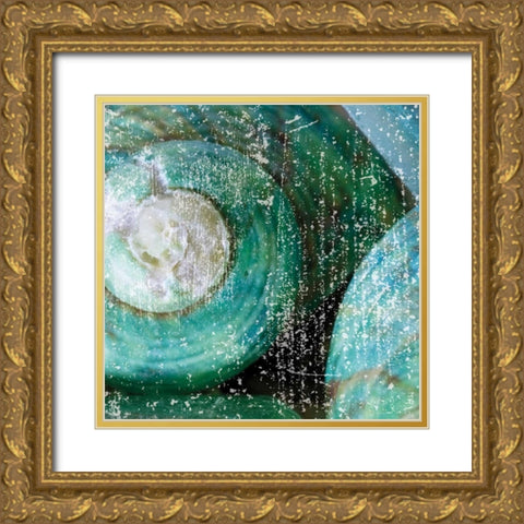 Tropical Shells Gold Ornate Wood Framed Art Print with Double Matting by Hogan, Melody