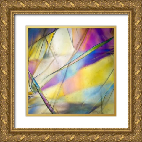 Stain Glass 2 Gold Ornate Wood Framed Art Print with Double Matting by Hogan, Melody