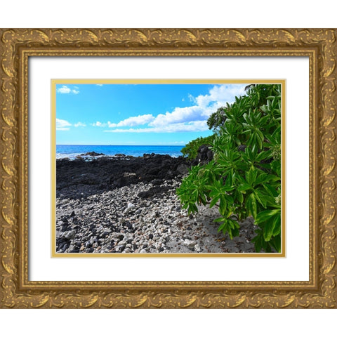 Shoreline  Path Gold Ornate Wood Framed Art Print with Double Matting by Nebula, Melissa