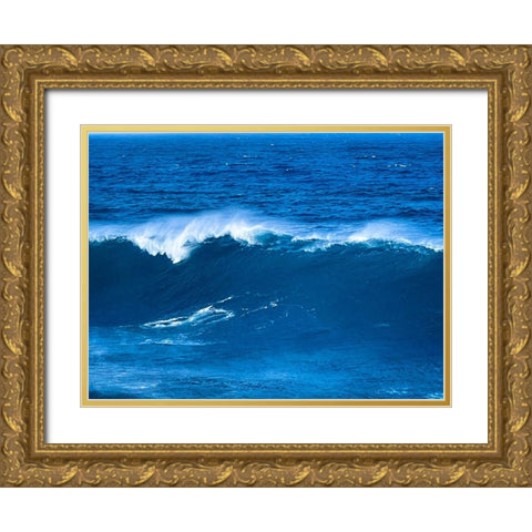 Aqua Juice Gold Ornate Wood Framed Art Print with Double Matting by Nebula, Melissa