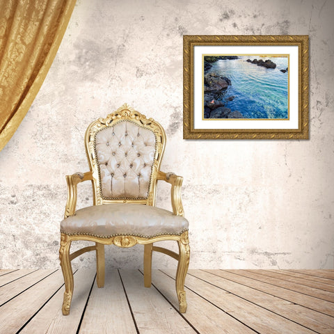 Ocean Echoes Gold Ornate Wood Framed Art Print with Double Matting by Nebula, Melissa