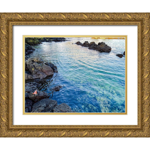 Ocean Echoes Gold Ornate Wood Framed Art Print with Double Matting by Nebula, Melissa