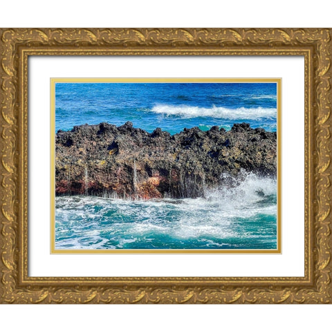 Onomea Cleanse Gold Ornate Wood Framed Art Print with Double Matting by Nebula, Melissa