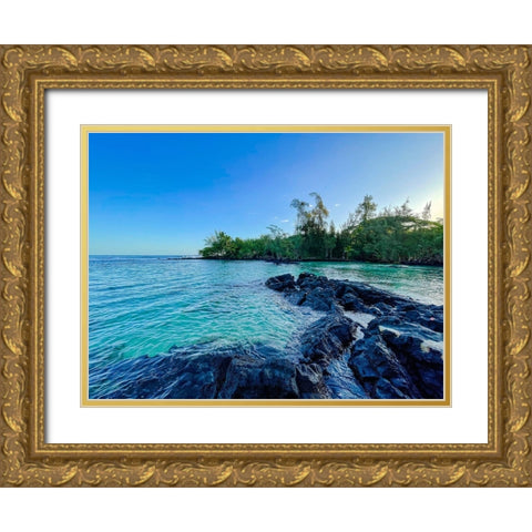 Rise And Cool Gold Ornate Wood Framed Art Print with Double Matting by Nebula, Melissa