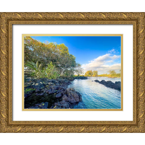 Tidal Coze Gold Ornate Wood Framed Art Print with Double Matting by Nebula, Melissa
