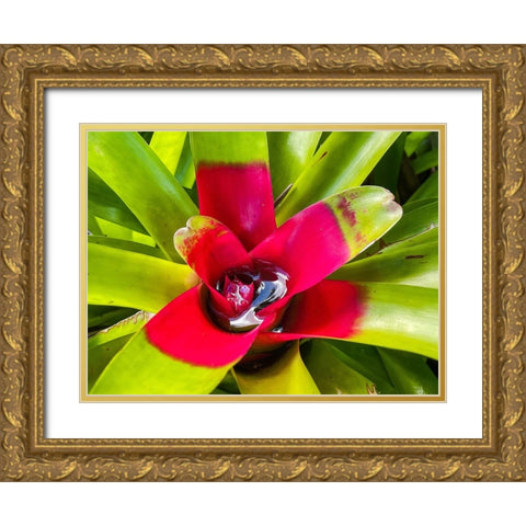 A Slow Sip Gold Ornate Wood Framed Art Print with Double Matting by Nebula, Melissa