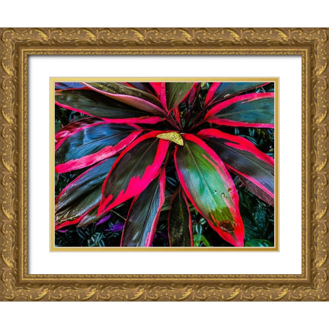 Shady Ti Tree Gold Ornate Wood Framed Art Print with Double Matting by Nebula, Melissa