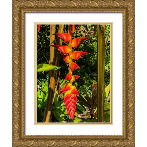 Heliconia Drop Gold Ornate Wood Framed Art Print with Double Matting by Nebula, Melissa