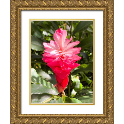 Blooming Sweetness Gold Ornate Wood Framed Art Print with Double Matting by Nebula, Melissa