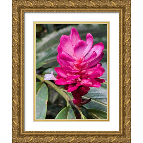 Ginger Blossom Gold Ornate Wood Framed Art Print with Double Matting by Nebula, Melissa