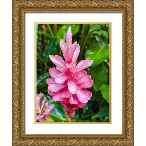 Floral Heart Bliss Gold Ornate Wood Framed Art Print with Double Matting by Nebula, Melissa