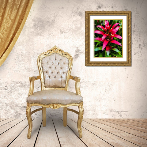 Botanical Bromeliad Gold Ornate Wood Framed Art Print with Double Matting by Nebula, Melissa