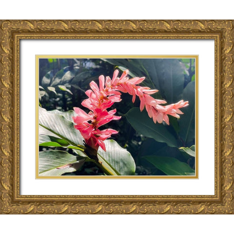 Lazy Ginger Gold Ornate Wood Framed Art Print with Double Matting by Nebula, Melissa