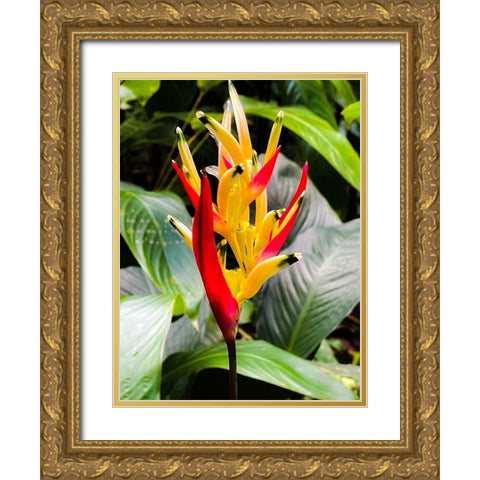 Reach for the Light Gold Ornate Wood Framed Art Print with Double Matting by Nebula, Melissa