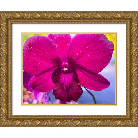 Orchid Daze Gold Ornate Wood Framed Art Print with Double Matting by Nebula, Melissa
