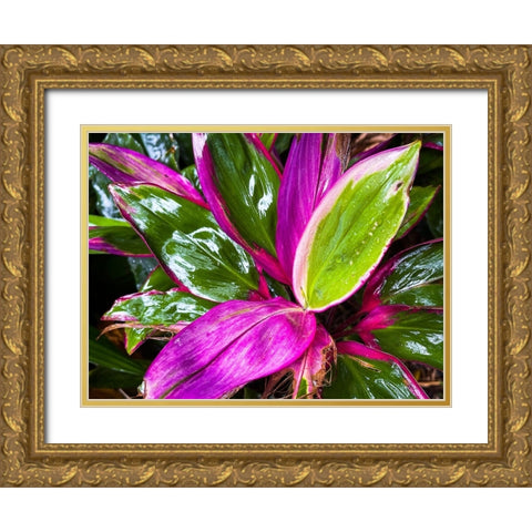 Leaf Spray Gold Ornate Wood Framed Art Print with Double Matting by Nebula, Melissa