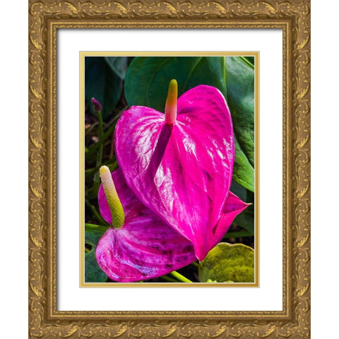 Heartfelt Anthurium Gold Ornate Wood Framed Art Print with Double Matting by Nebula, Melissa