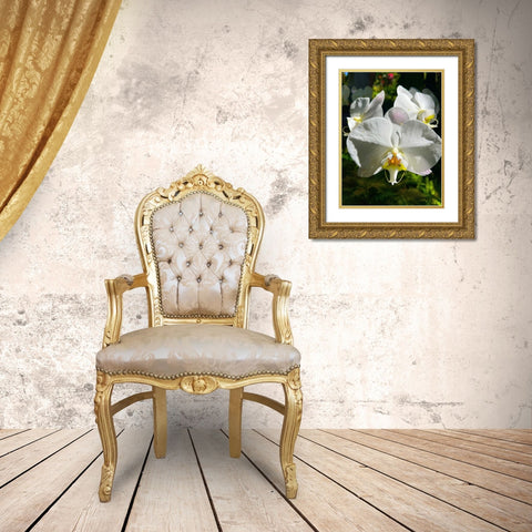 Orchid Peace In White Gold Ornate Wood Framed Art Print with Double Matting by Nebula, Melissa