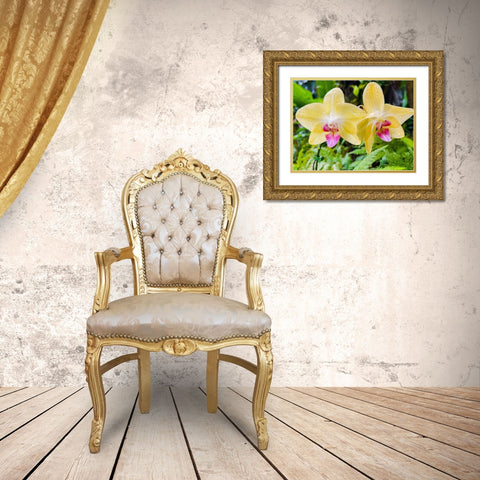 Orchid peace In Yellow Gold Ornate Wood Framed Art Print with Double Matting by Nebula, Melissa