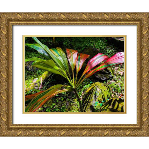 Striped Ti Gold Ornate Wood Framed Art Print with Double Matting by Nebula, Melissa