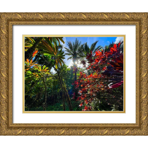 Tropical Melange Gold Ornate Wood Framed Art Print with Double Matting by Nebula, Melissa