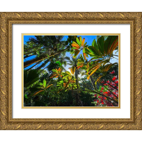 Tropical Understory Gold Ornate Wood Framed Art Print with Double Matting by Nebula, Melissa