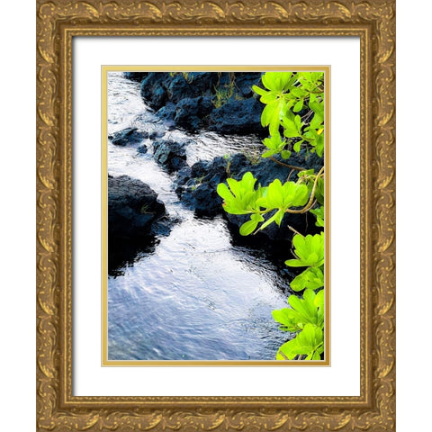 River Gaze Gold Ornate Wood Framed Art Print with Double Matting by Nebula, Melissa