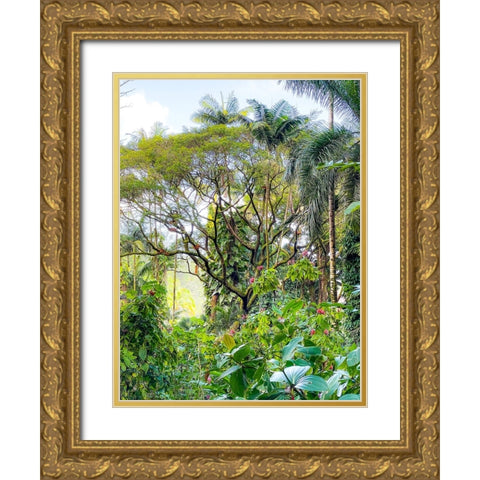 Botanical Junglescape Gold Ornate Wood Framed Art Print with Double Matting by Nebula, Melissa
