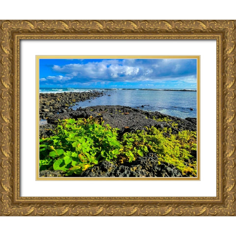 Hilo Morning Rise Gold Ornate Wood Framed Art Print with Double Matting by Nebula, Melissa