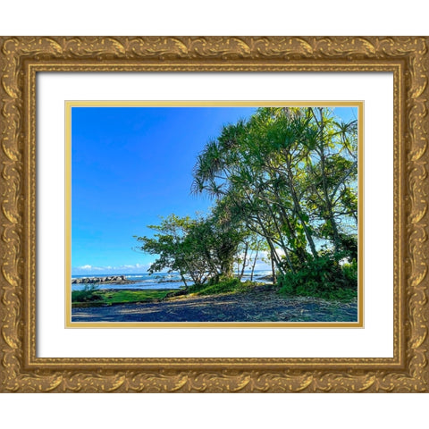 Hilo Shade Gold Ornate Wood Framed Art Print with Double Matting by Nebula, Melissa