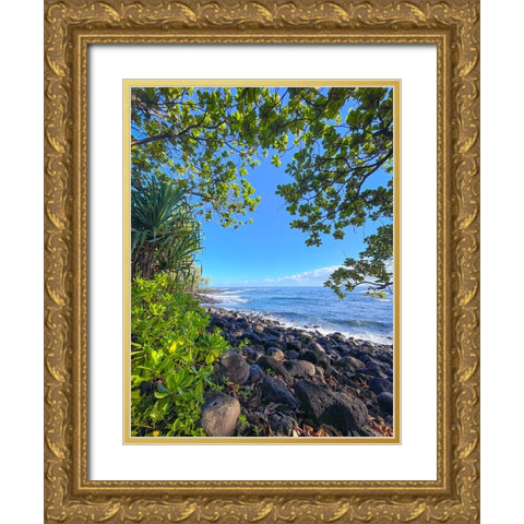 Hilo Cove Gold Ornate Wood Framed Art Print with Double Matting by Nebula, Melissa