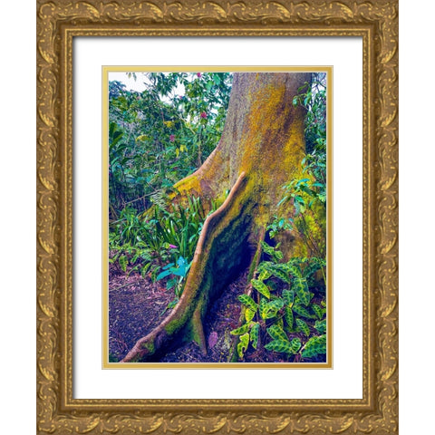 Walking Tree Gold Ornate Wood Framed Art Print with Double Matting by Nebula, Melissa