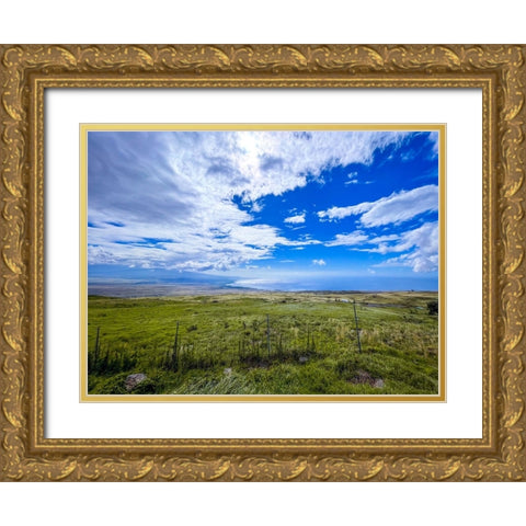 Country Road On Kohala Coastline Gold Ornate Wood Framed Art Print with Double Matting by Nebula, Melissa