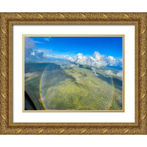 Full Circle Birds Eye Gold Ornate Wood Framed Art Print with Double Matting by Nebula, Melissa