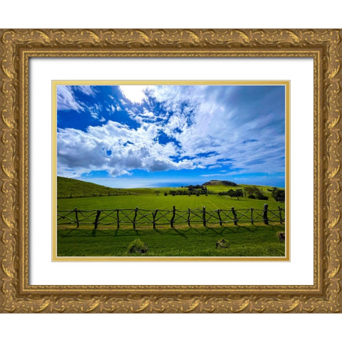 Kohala Countryside Gold Ornate Wood Framed Art Print with Double Matting by Nebula, Melissa