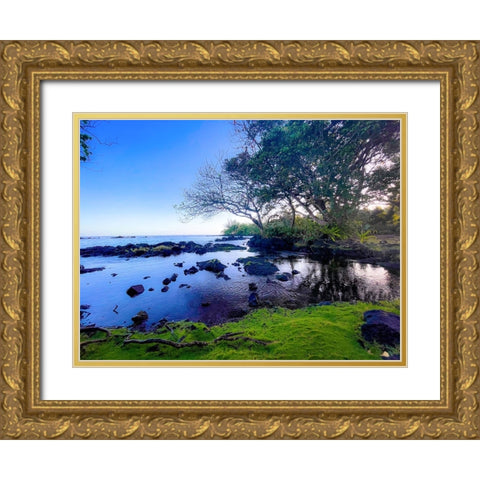 Still Of The Morning Gold Ornate Wood Framed Art Print with Double Matting by Nebula, Melissa