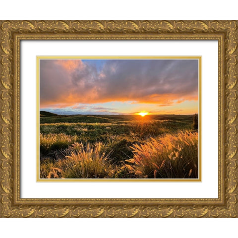 Sunset On Saddle Road Gold Ornate Wood Framed Art Print with Double Matting by Nebula, Melissa