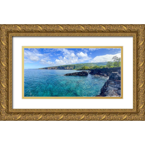 Kealakekua Breathway Gold Ornate Wood Framed Art Print with Double Matting by Nebula, Melissa