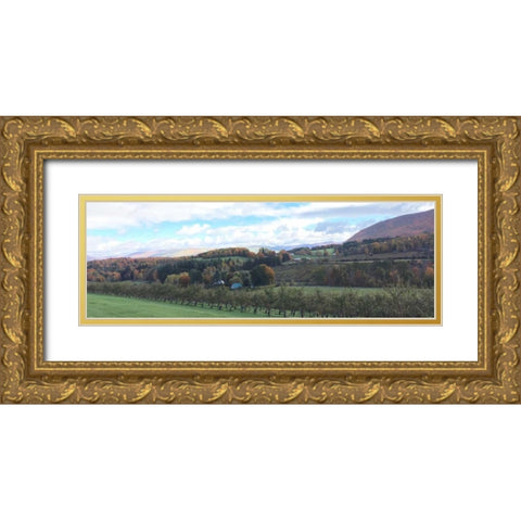 Seasons Change 2 Gold Ornate Wood Framed Art Print with Double Matting by Prime, Marcus