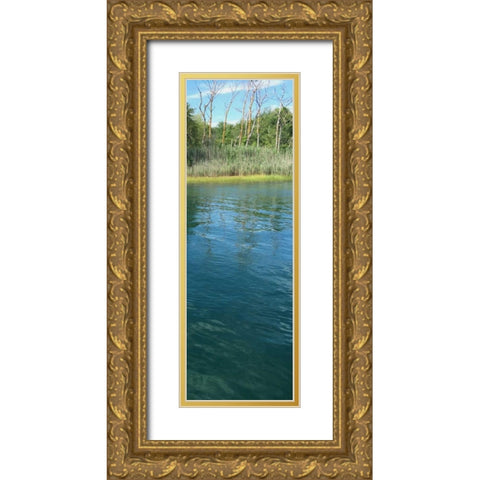 Scenic River 1 Gold Ornate Wood Framed Art Print with Double Matting by Prime, Marcus