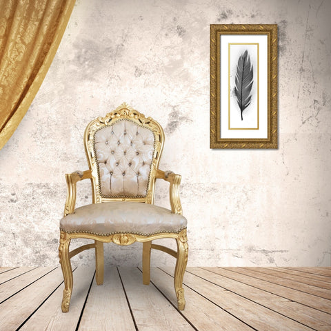Wonder Feather 1 Gold Ornate Wood Framed Art Print with Double Matting by Prime, Marcus