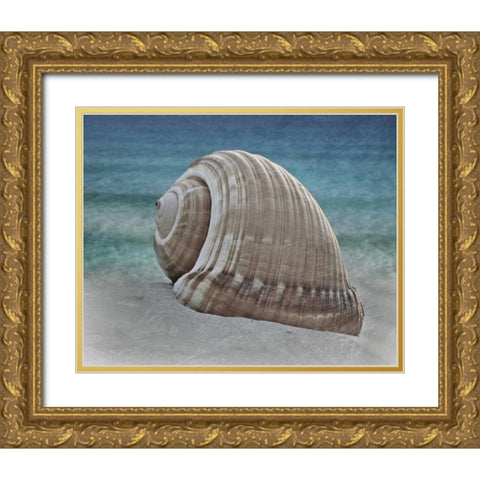 Shell Ray Soaking Gold Ornate Wood Framed Art Print with Double Matting by Prime, Marcus