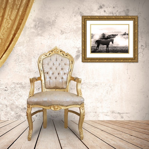 Wandering Horse 2 Gold Ornate Wood Framed Art Print with Double Matting by Prime, Marcus